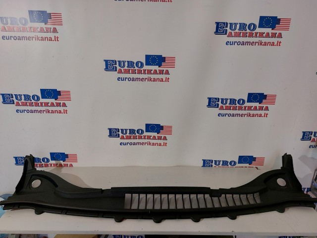 Cowl Grille